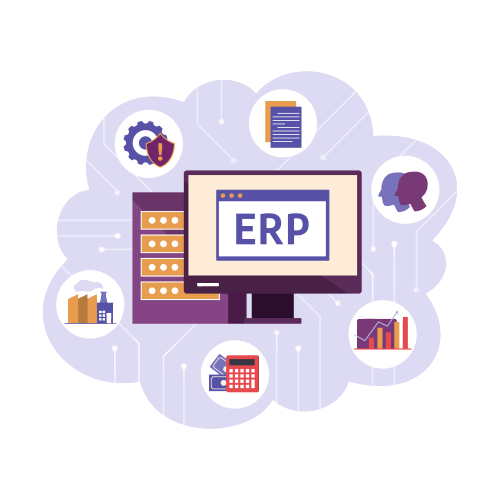 custom_erp_development